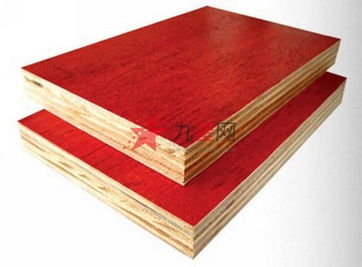 木材板材 普通模板 1220 2440