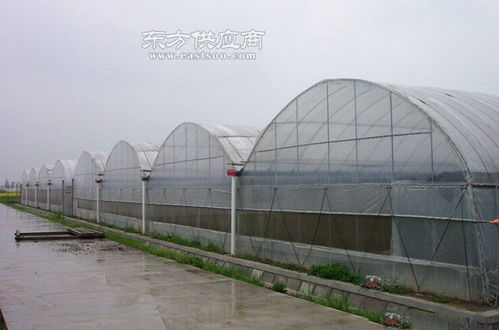 上海薄膜温室大棚工程报价图片